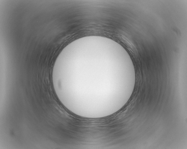 X0000115220233200911181555