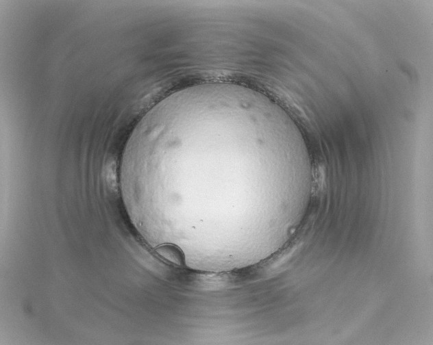X0000115220238200911181555