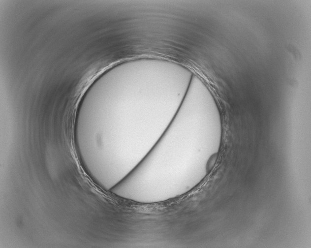 X0000115220241200911181554