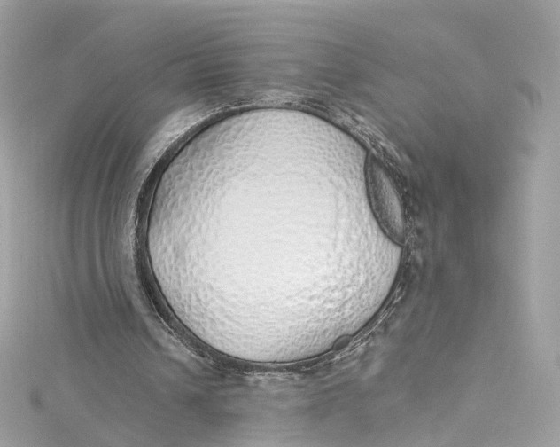 X0000115220242200911181554