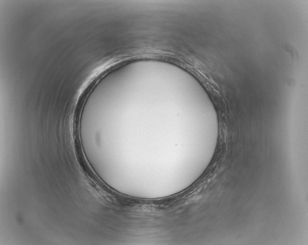 X0000115220244200911181554