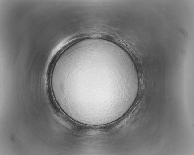 X0000115220246200911181554