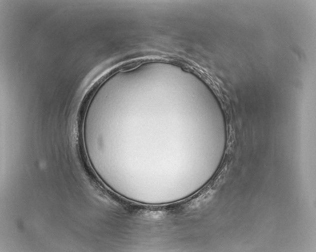 X0000115220247200911181554