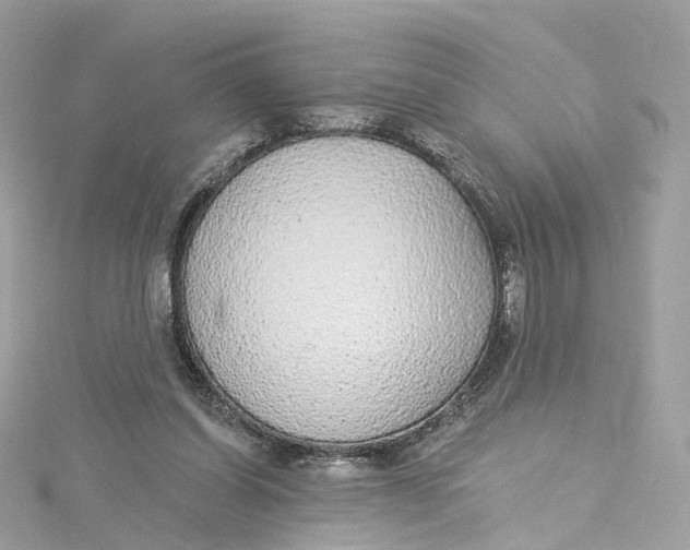 X0000115220254200911181555