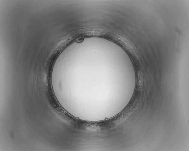 X0000115220258200911181555