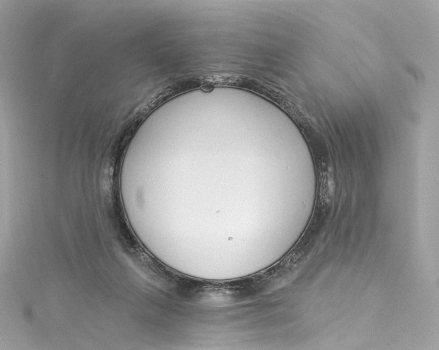 X0000115220263200911181555