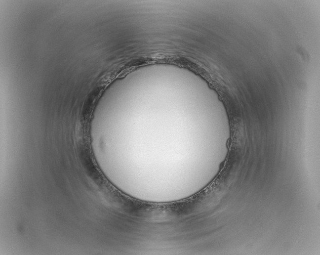 X0000115220272200911181555