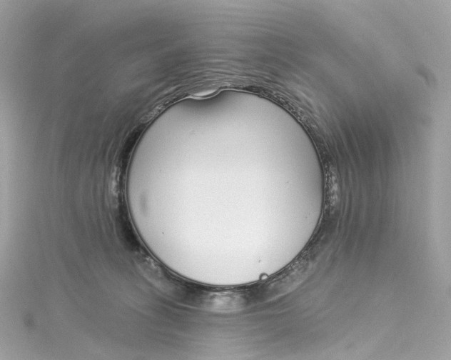 X0000115220275200911181555
