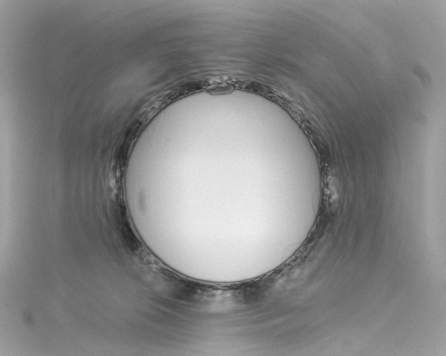 X0000115220276200911181555