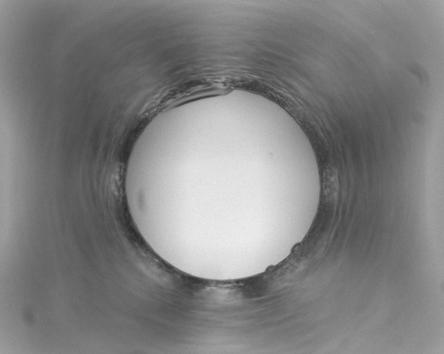 X0000115220280200911181555