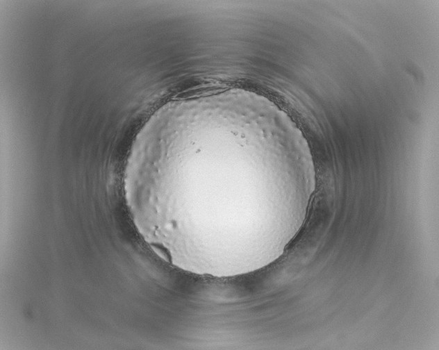 X0000115220284200911181555