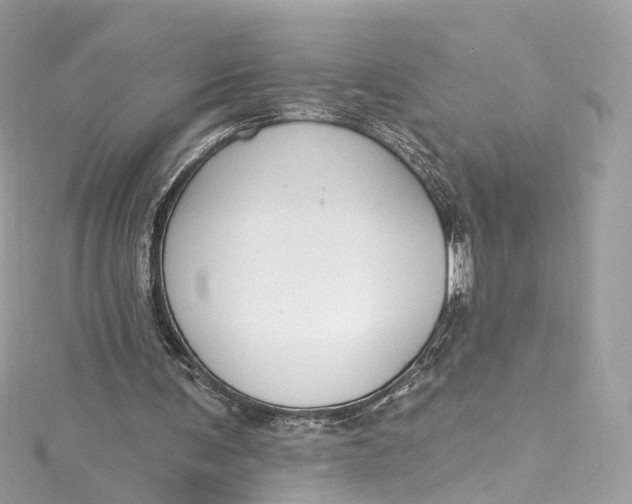 X0000115220291200911181554