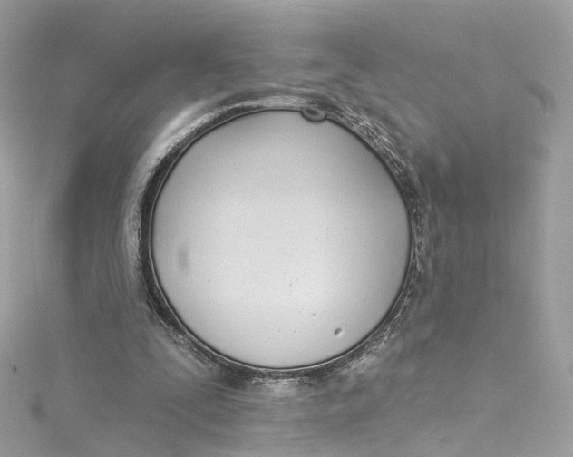 X0000115220295200911181554