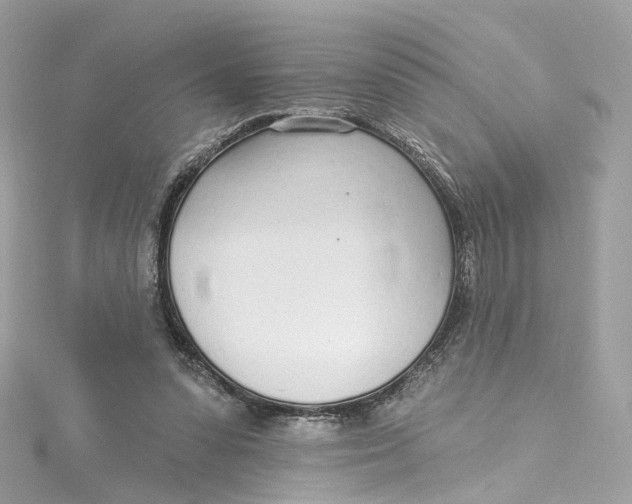 X0000115220303200911181554