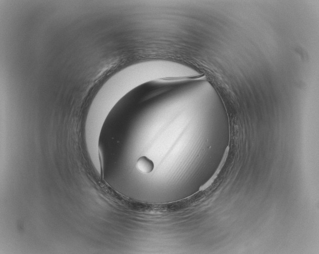 X0000115220308200911181554