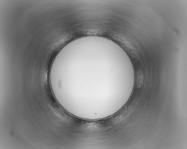 X0000115220310200911181554
