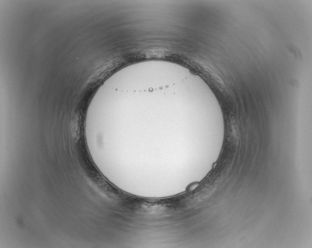 X0000115220311200911181554