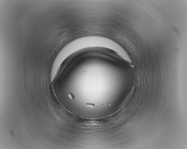 X0000115220316200911181554