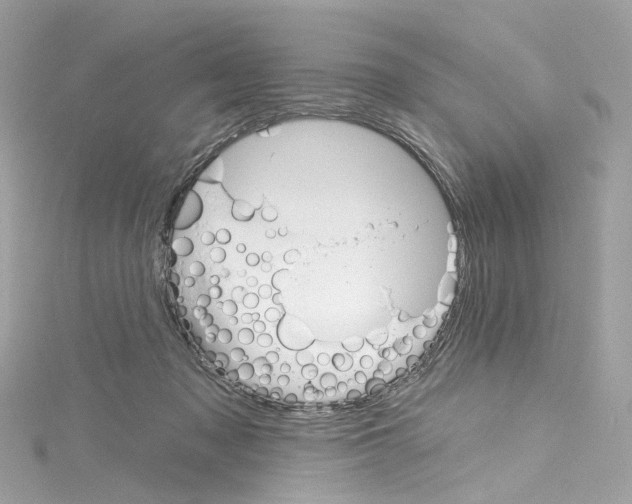 X0000115220317200911181554