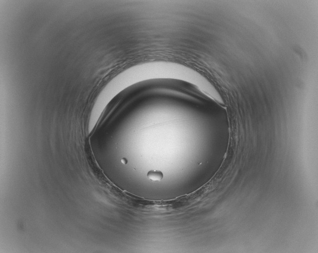 X0000115220320200911181554