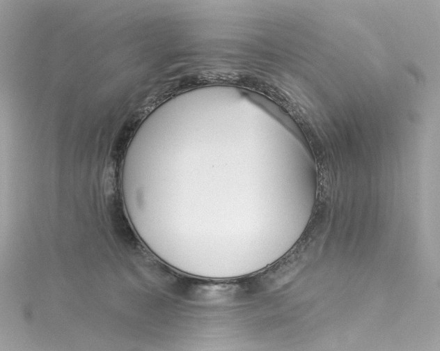 X0000115220323200911181554