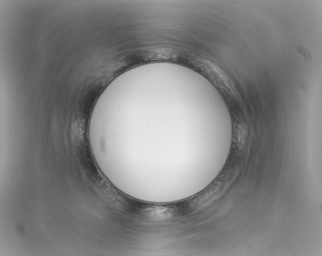 X0000115220326200911181554