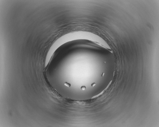 X0000115220328200911181554