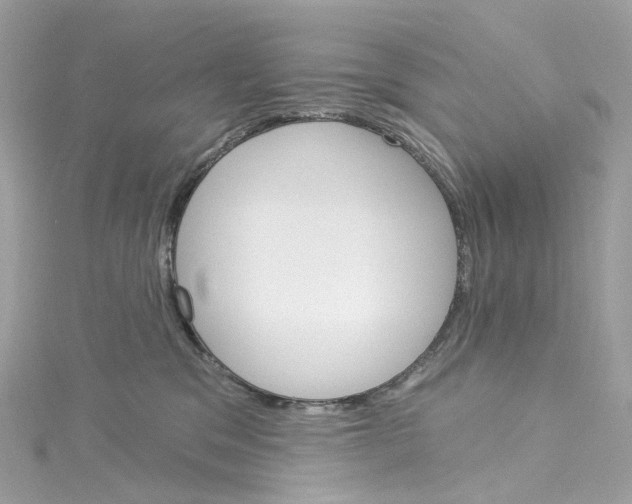 X0000115220329200911181554