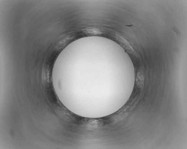 X0000115220330200911181554