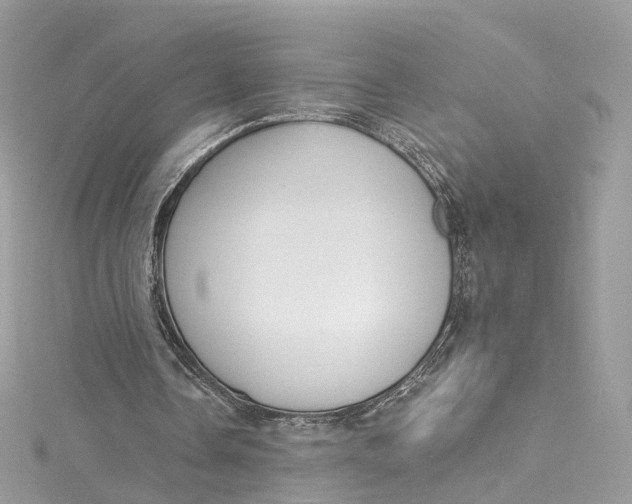 X0000115220338200911181553