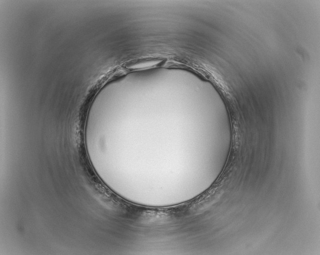 X0000115220354200911181553
