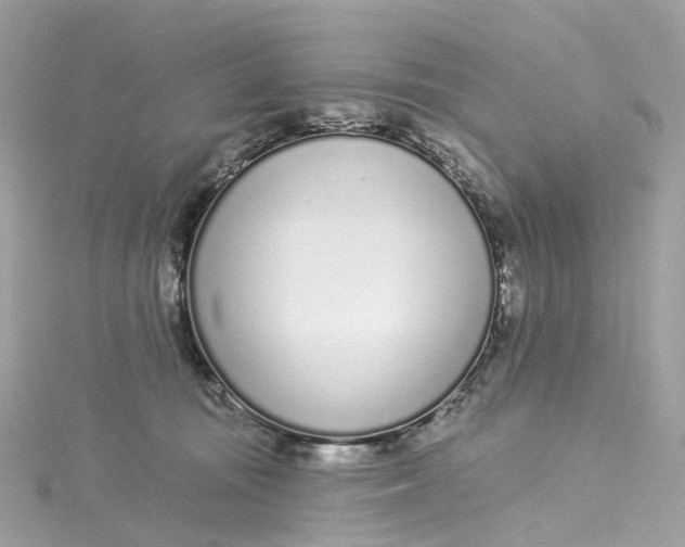 X0000115220371200911181554