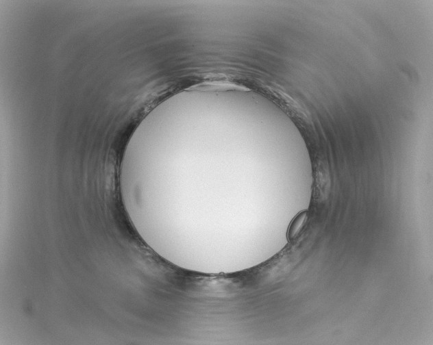 X0000115220379200911181554