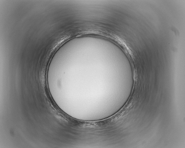 X0000115220386200911181553