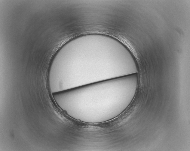 X0000115220393200911181553