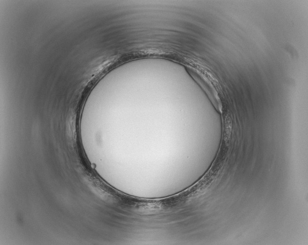 X0000115220398200911181553