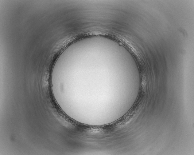 X0000115220402200911181553