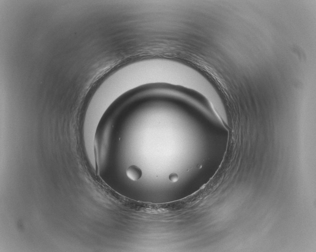 X0000115220403200911181553
