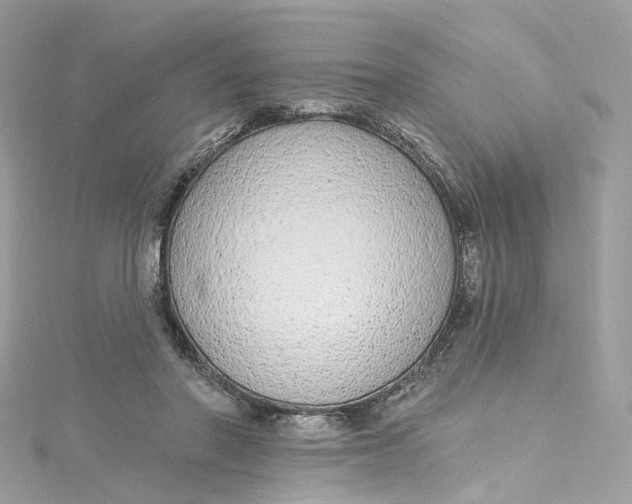 X0000115220406200911181553