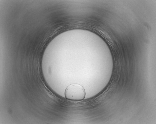 X0000115220409200911181553