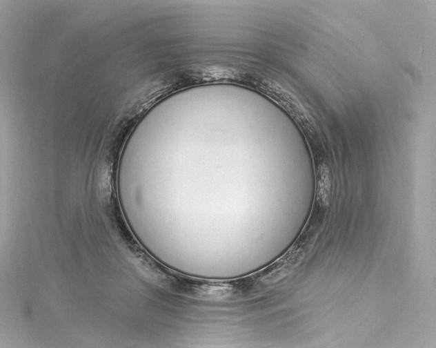 X0000115220410200911181553
