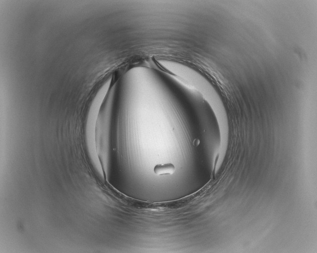 X0000115220411200911181553