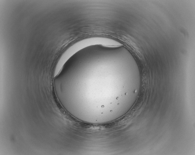 X0000115220415200911181553