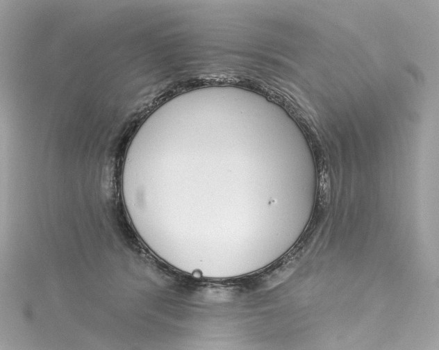 X0000115220416200911181553