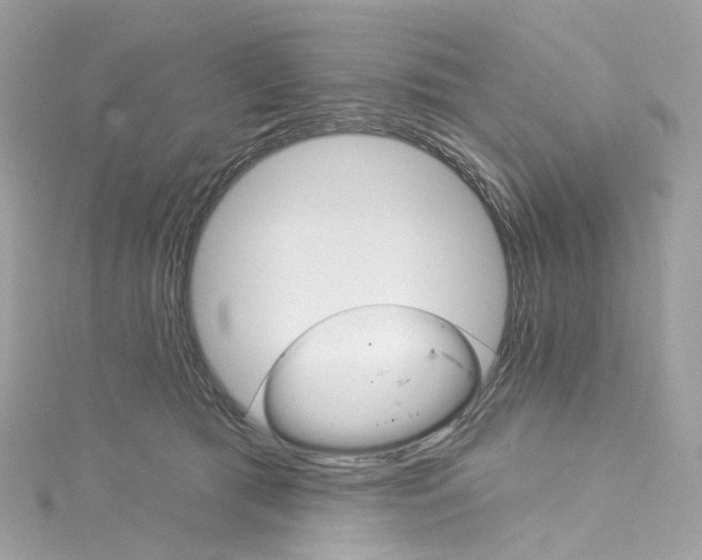 X0000115220417200911181553