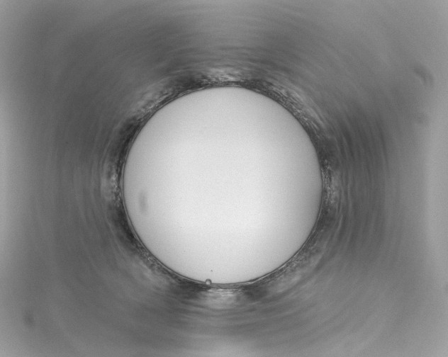 X0000115220418200911181553