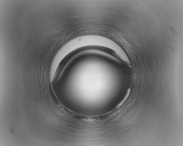 X0000115220419200911181553