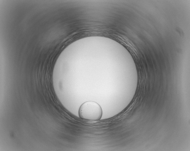 X0000115220425200911181553