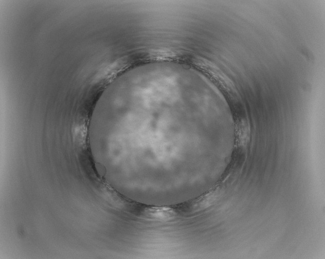 X0000115220427200911181553