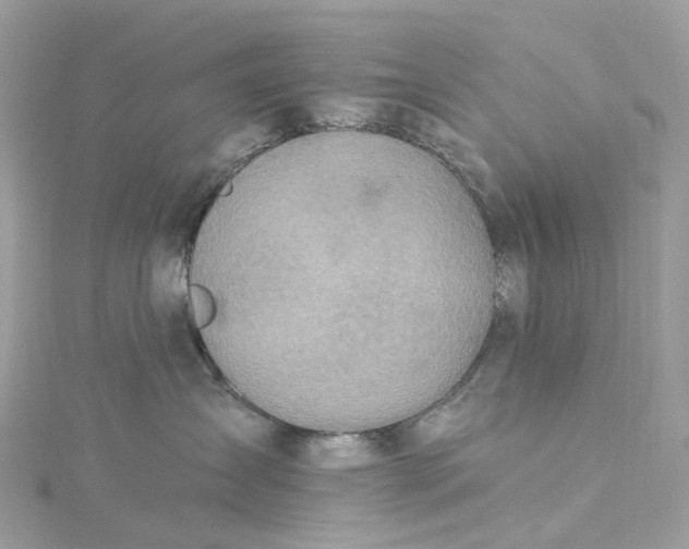X0000115220431200911181553